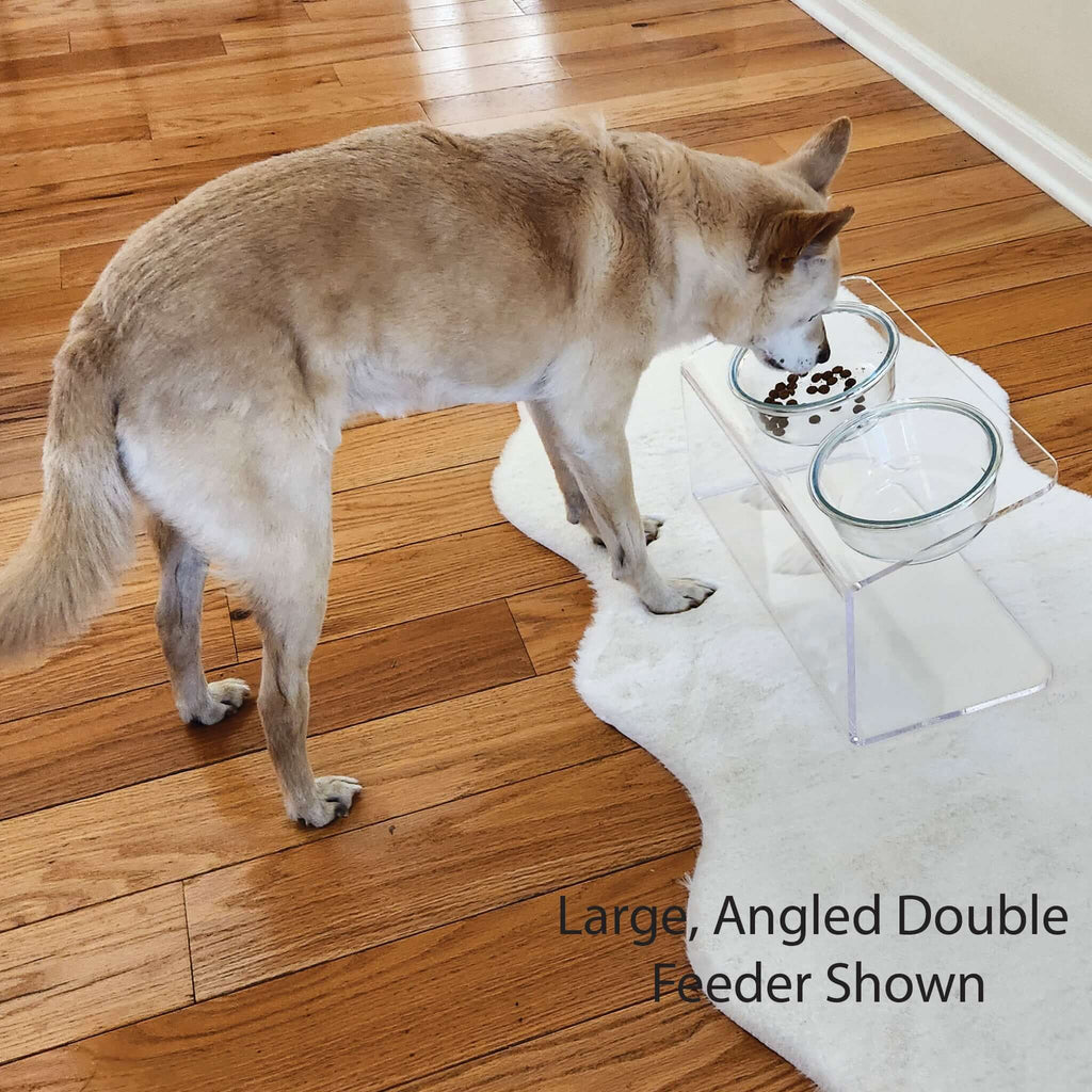 Angled Bowl Feeder product image 7