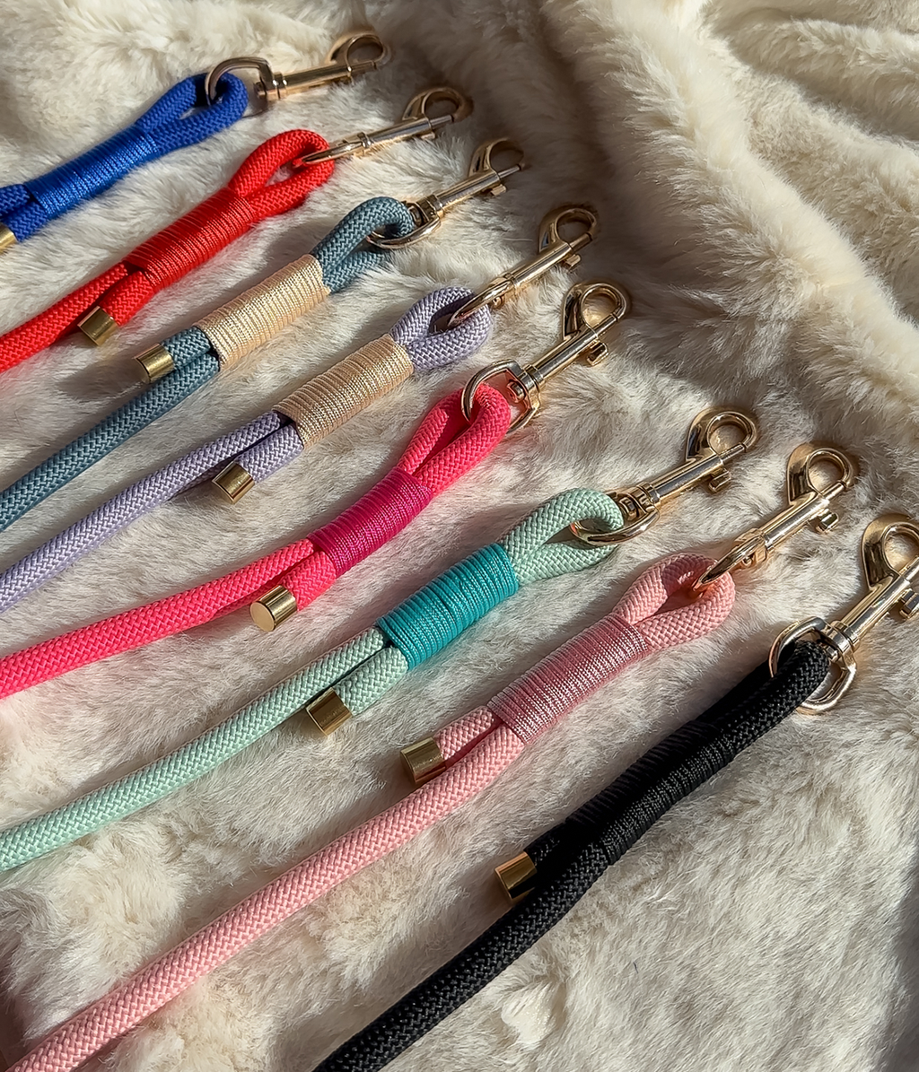Dog Lead product image 1