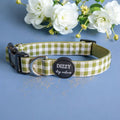 Adjustable Dog Collar product image 1