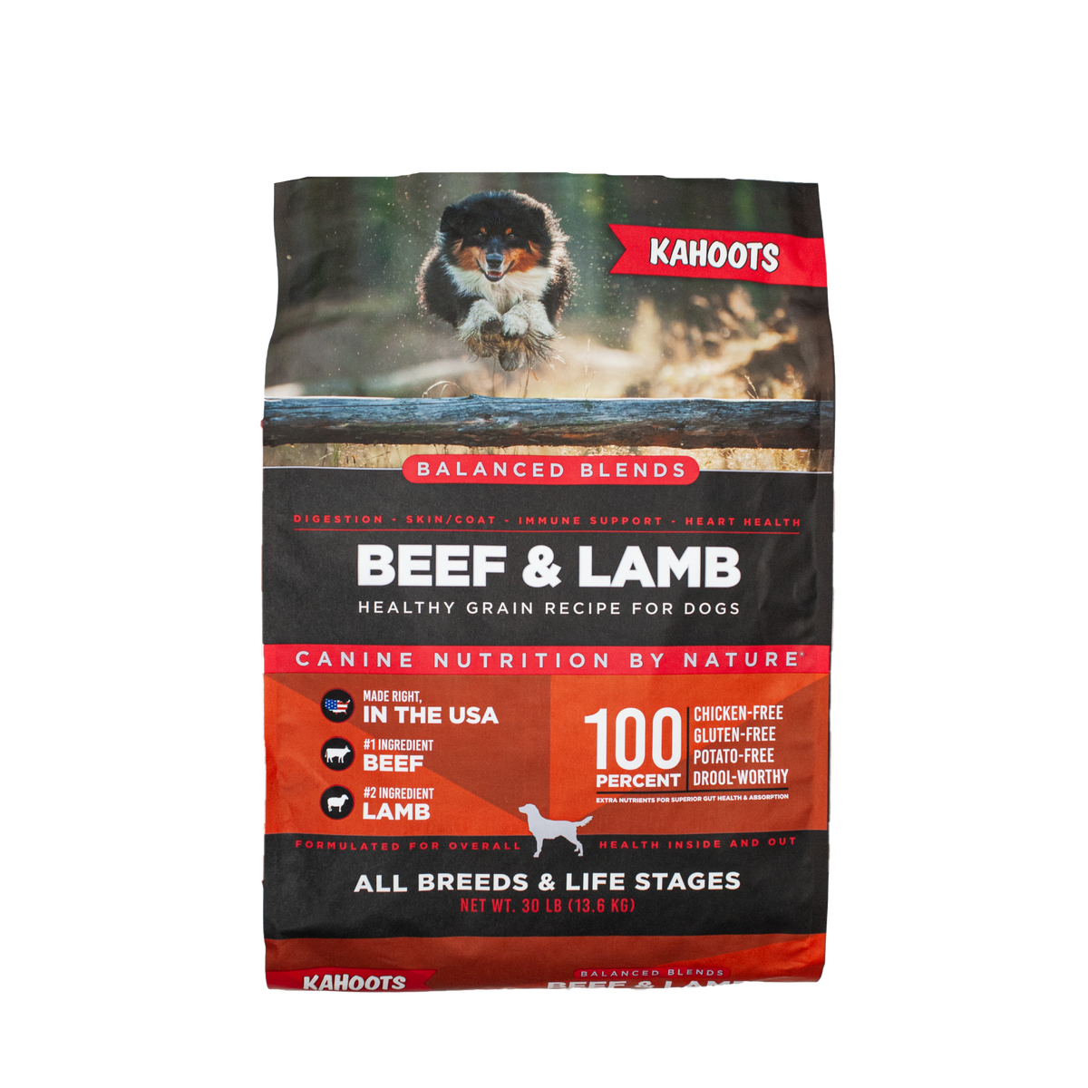 Dog Food product image 1