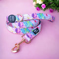 Dog Leash product image 1