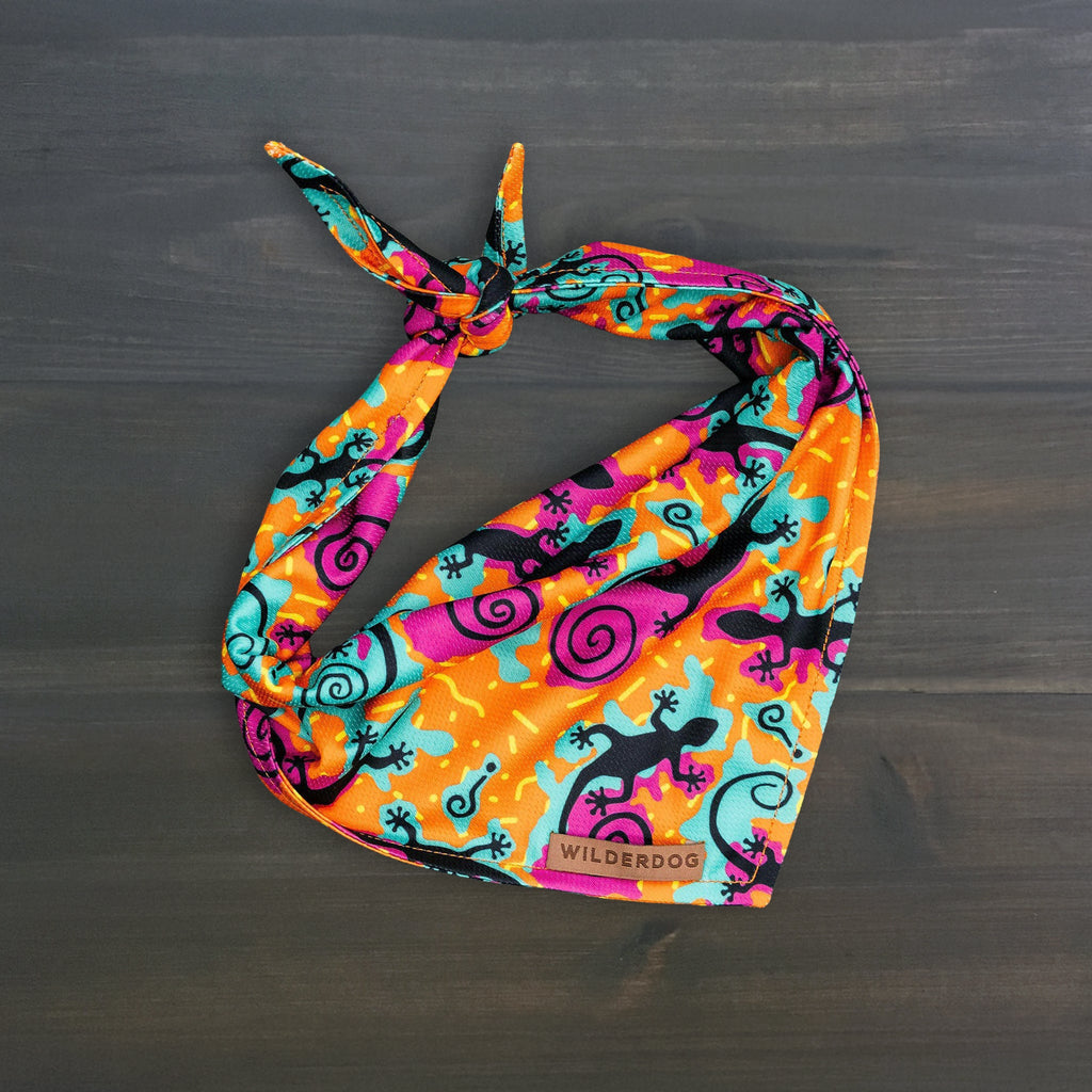 Dog Cooling Bandana product image 1