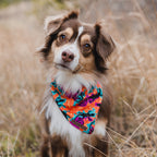 Dog Cooling Bandana product image 2