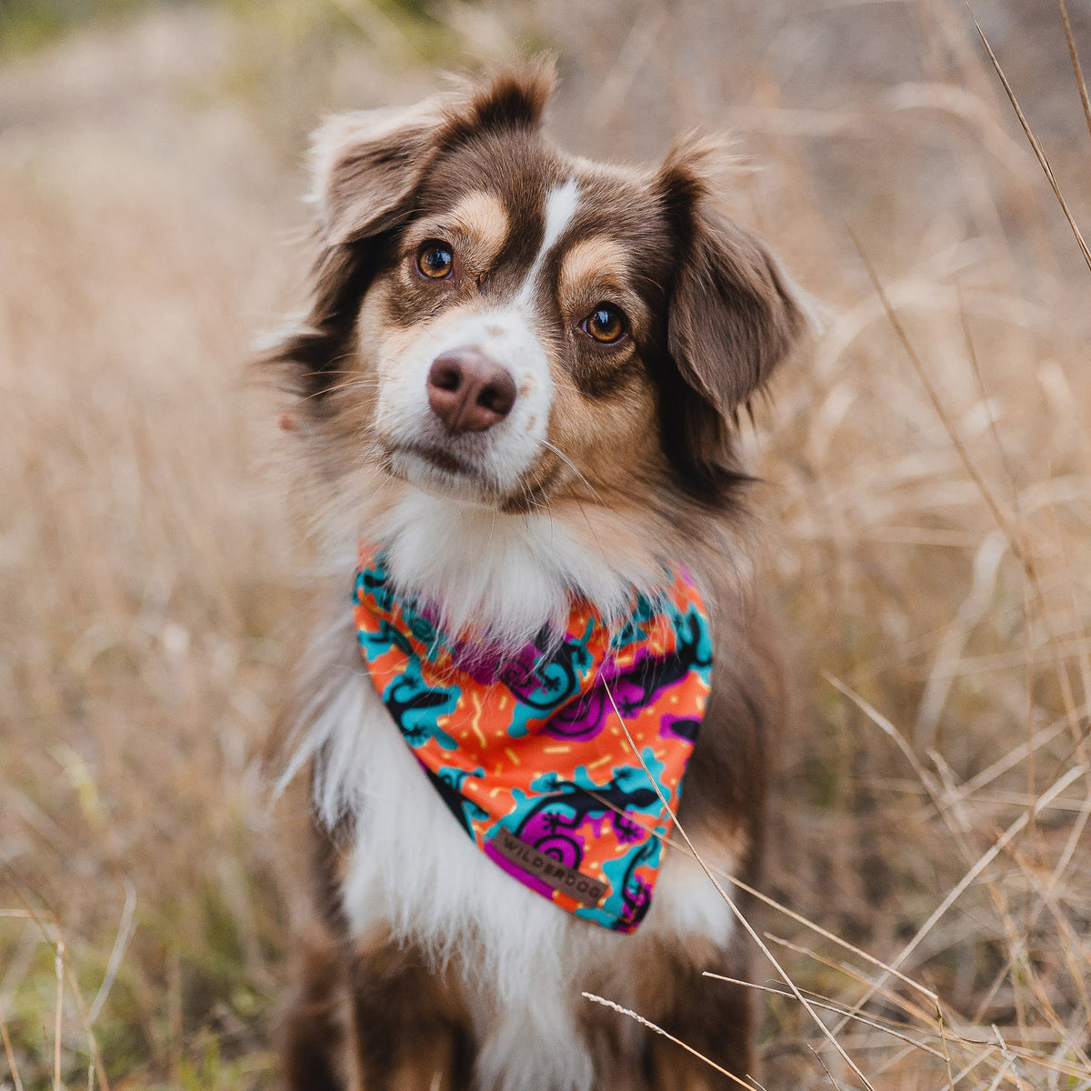 Dog Cooling Bandana product image 2