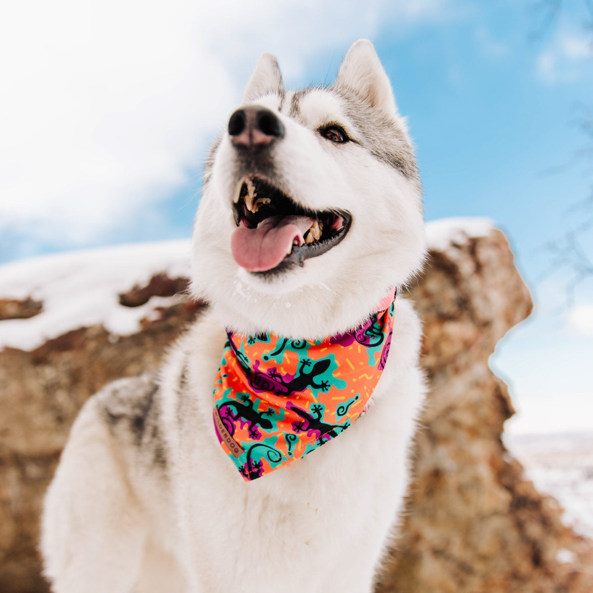 Dog Cooling Bandana product image 3