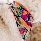 Dog Cooling Bandana product image 4