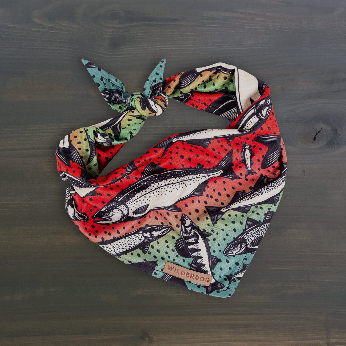 Dog Cooling Bandana product image 1