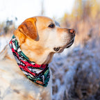 Dog Cooling Bandana product image 3