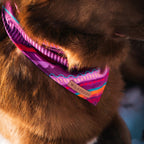 Cooling Dog Bandana product image 2