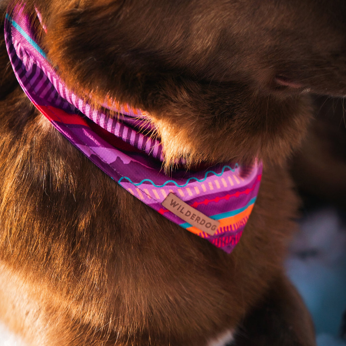 Cooling Dog Bandana product image 2