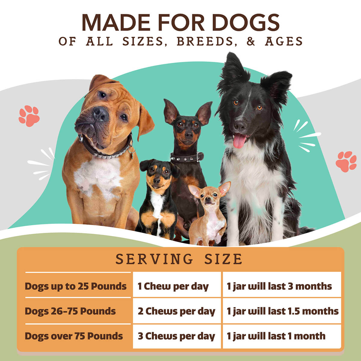 Dog Hip and Joint Soft Chews product image 8