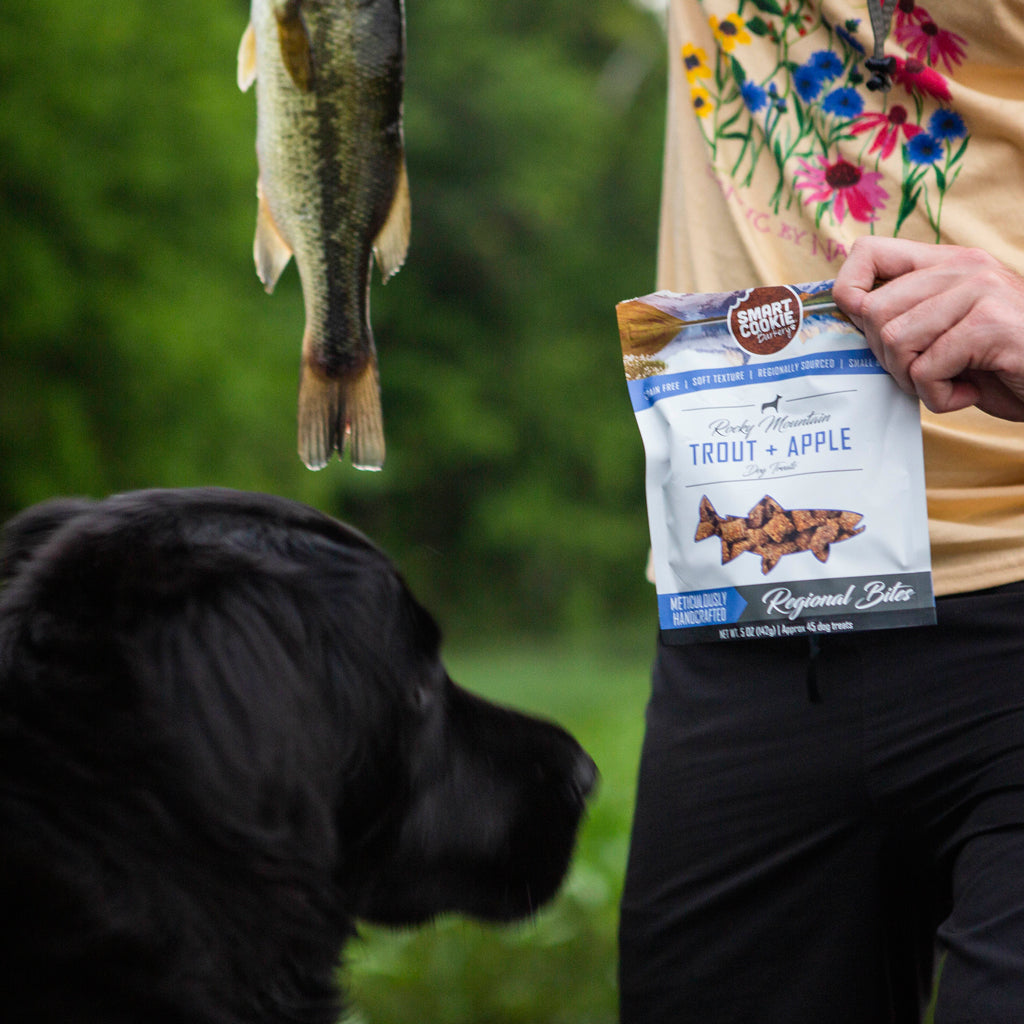 Soft & Chewy Dog Treats product image 5