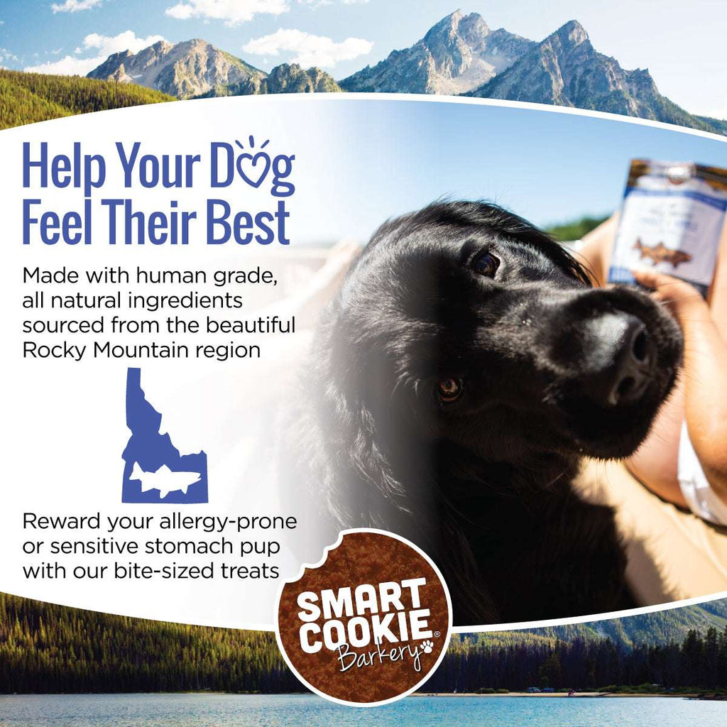 Soft & Chewy Dog Treats product image 6
