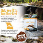 Soft & Chewy Dog Treats product image 6