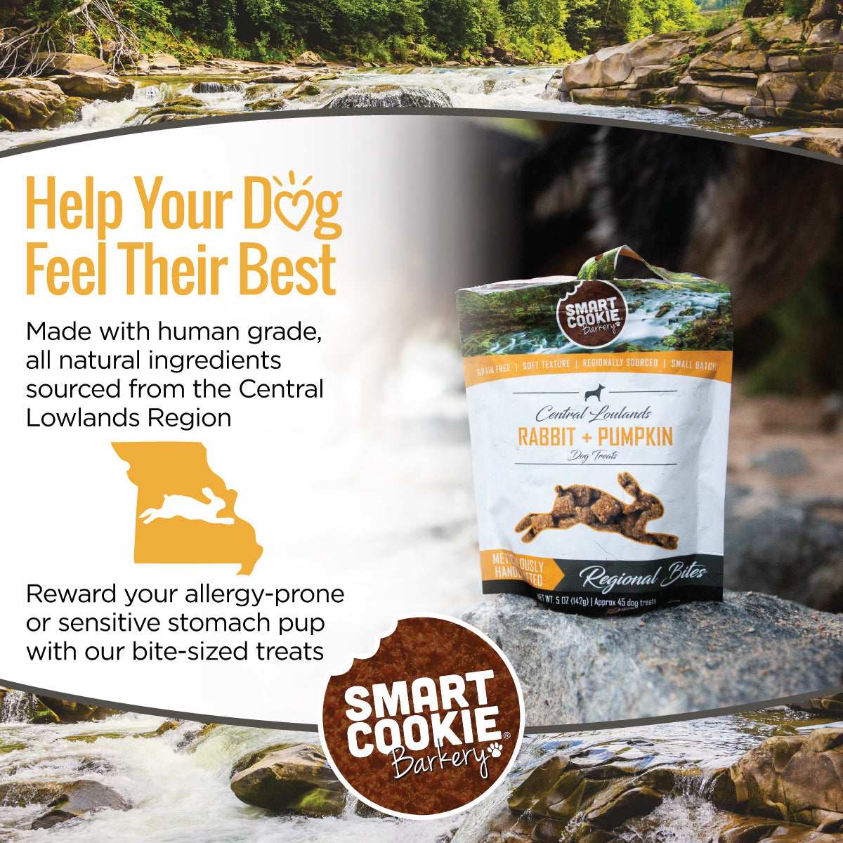 Soft & Chewy Dog Treats product image 6