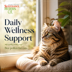 Bee Pollen Supplement product image 8