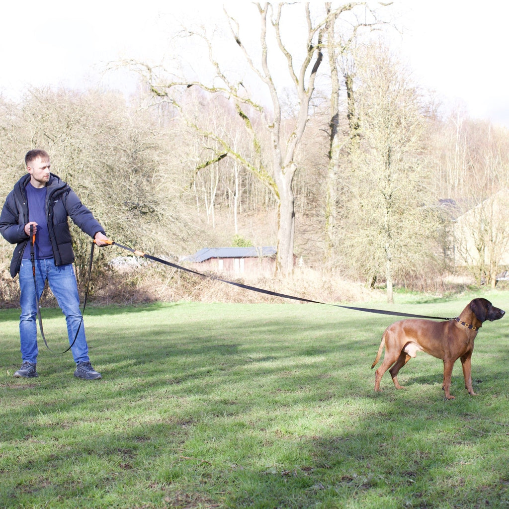 Long Line Dog Lead product image 2