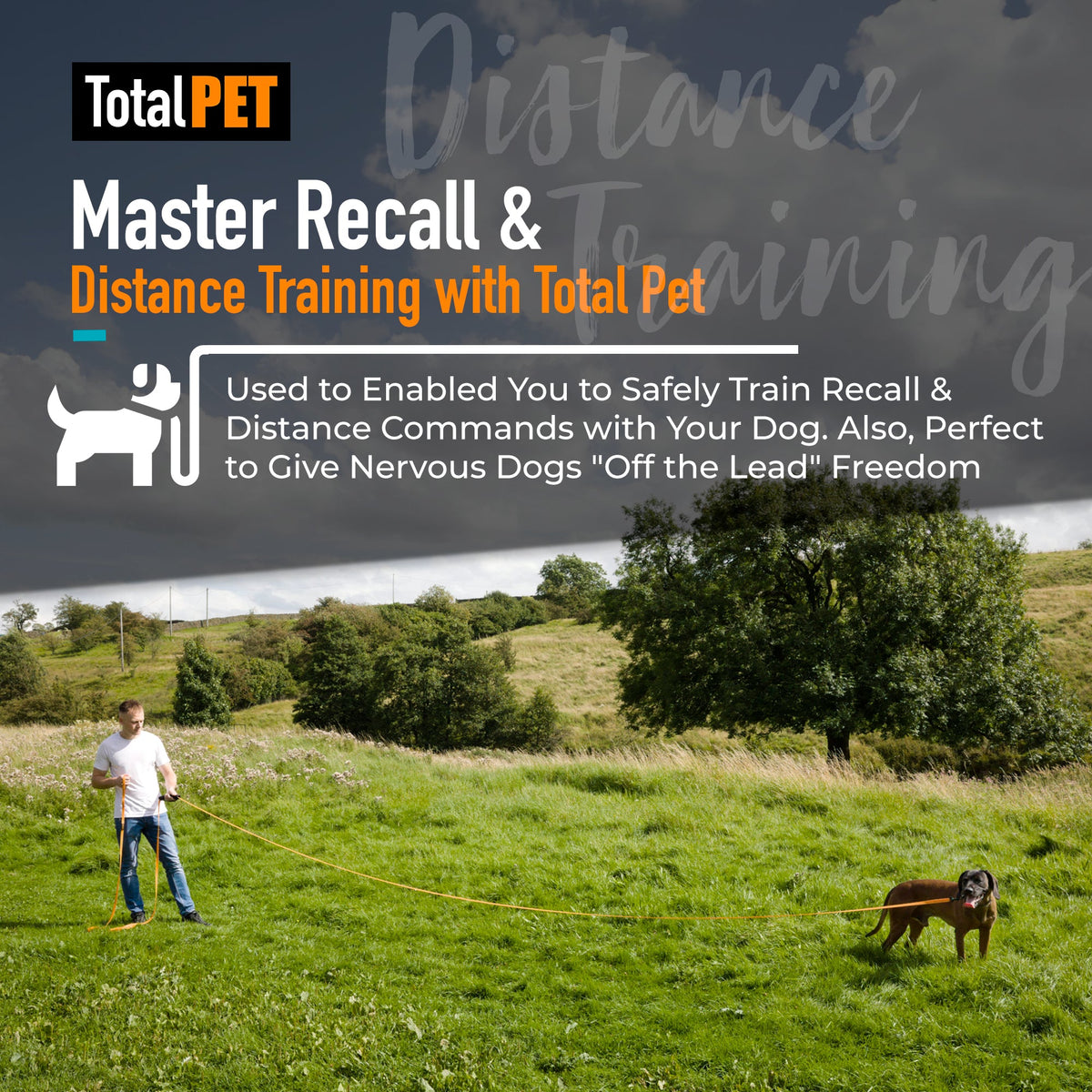 Waterproof Long Line Dog Training Lead product image 6