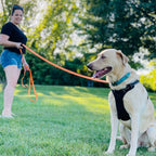 Waterproof Long Line Dog Training Lead product image 12