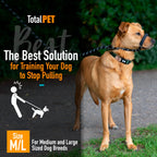 Padded Rope Dog Lead product image 2
