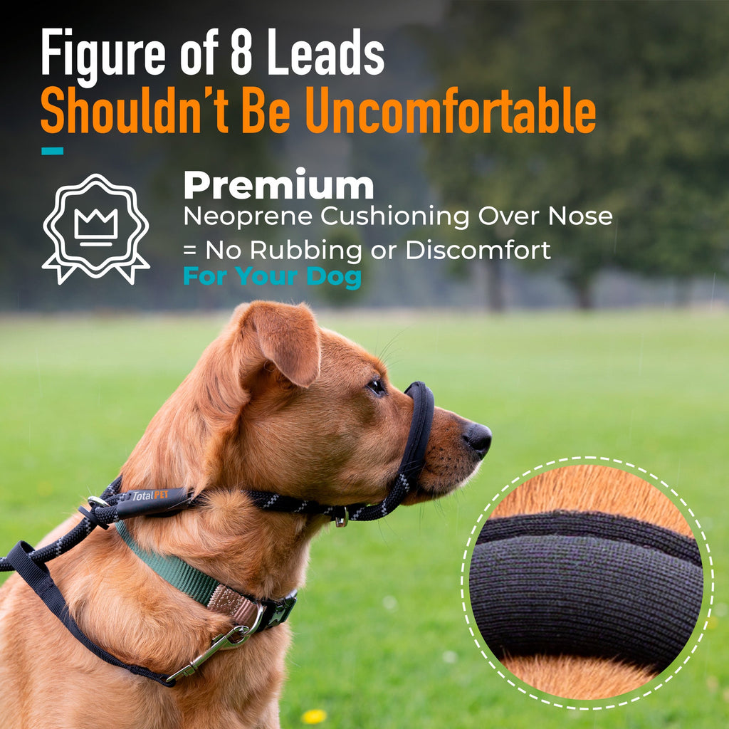 Padded Rope Dog Lead product image 3