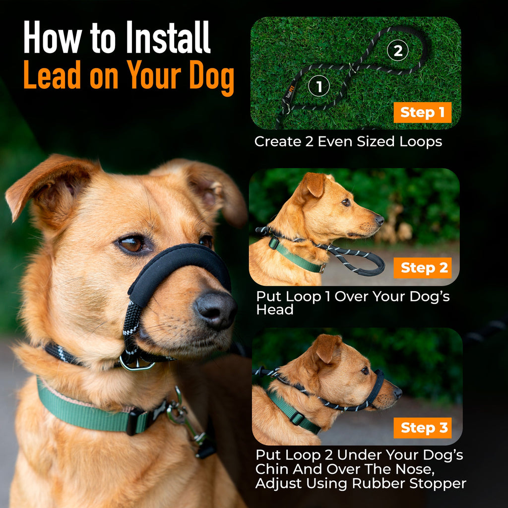 Padded Rope Dog Lead product image 4