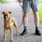 Padded Rope Dog Lead product image 7