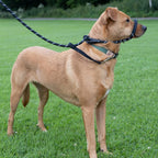 Padded Rope Dog Lead product image 8