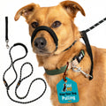 Padded Rope Dog Lead product image 11