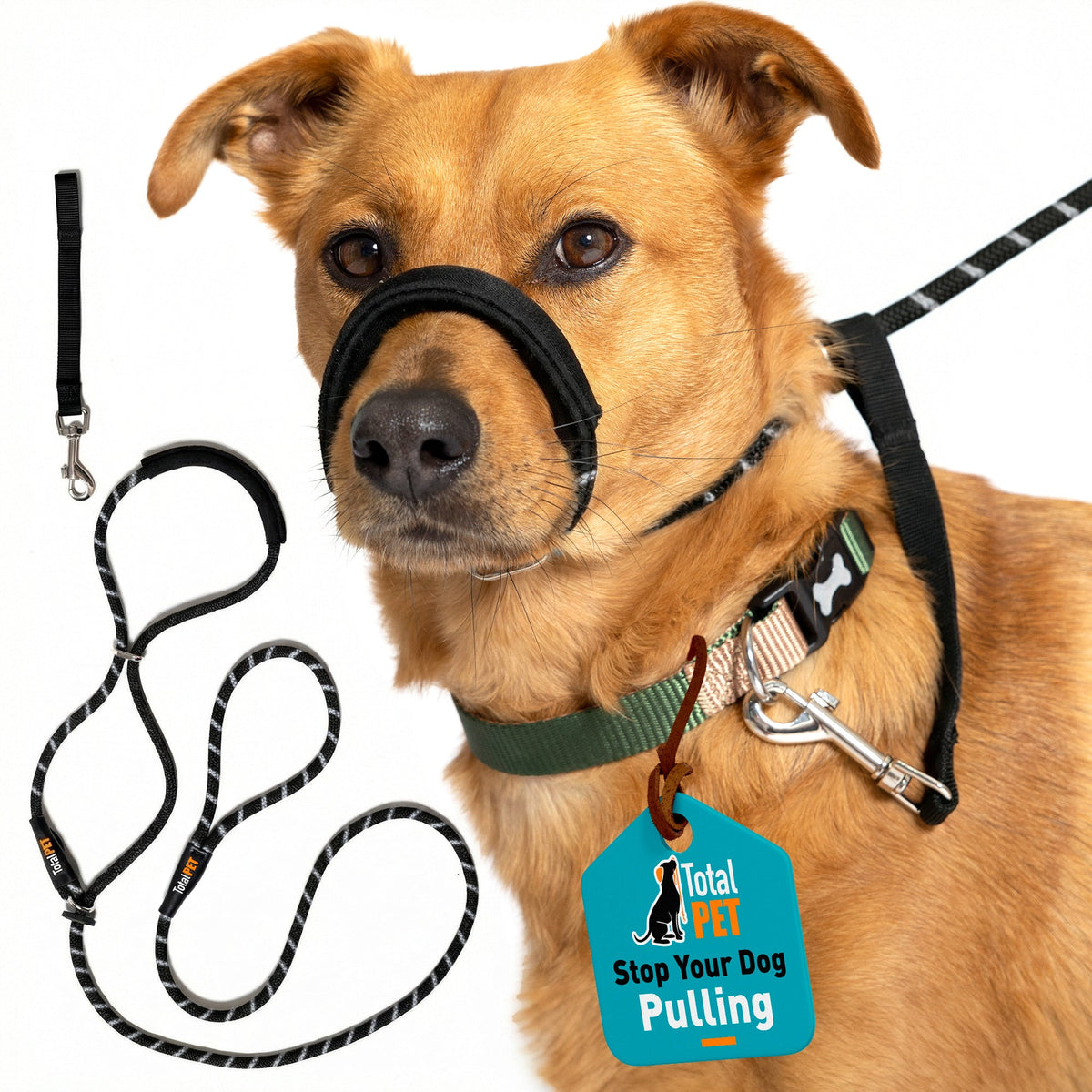 Padded Rope Dog Lead product image 11