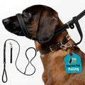 Padded Figure 8 Dog Lead product image 2