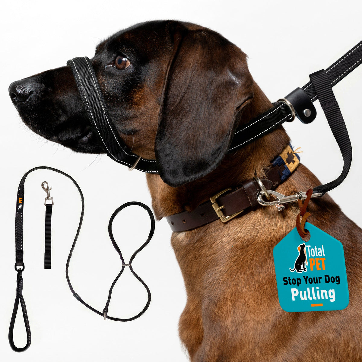 Padded Figure 8 Dog Lead product image 2
