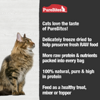 Freeze-Dried Chicken Cat Treats product image 4