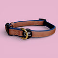 Neoprene Dog Collar product image 1