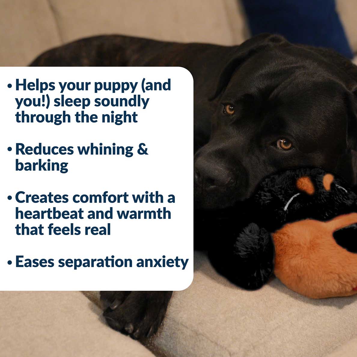 Puppy Comfort Plush product image 3