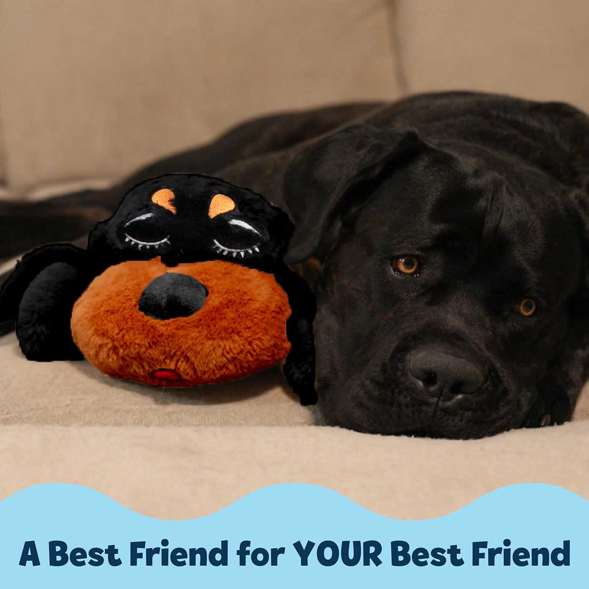 Puppy Comfort Plush product image 5