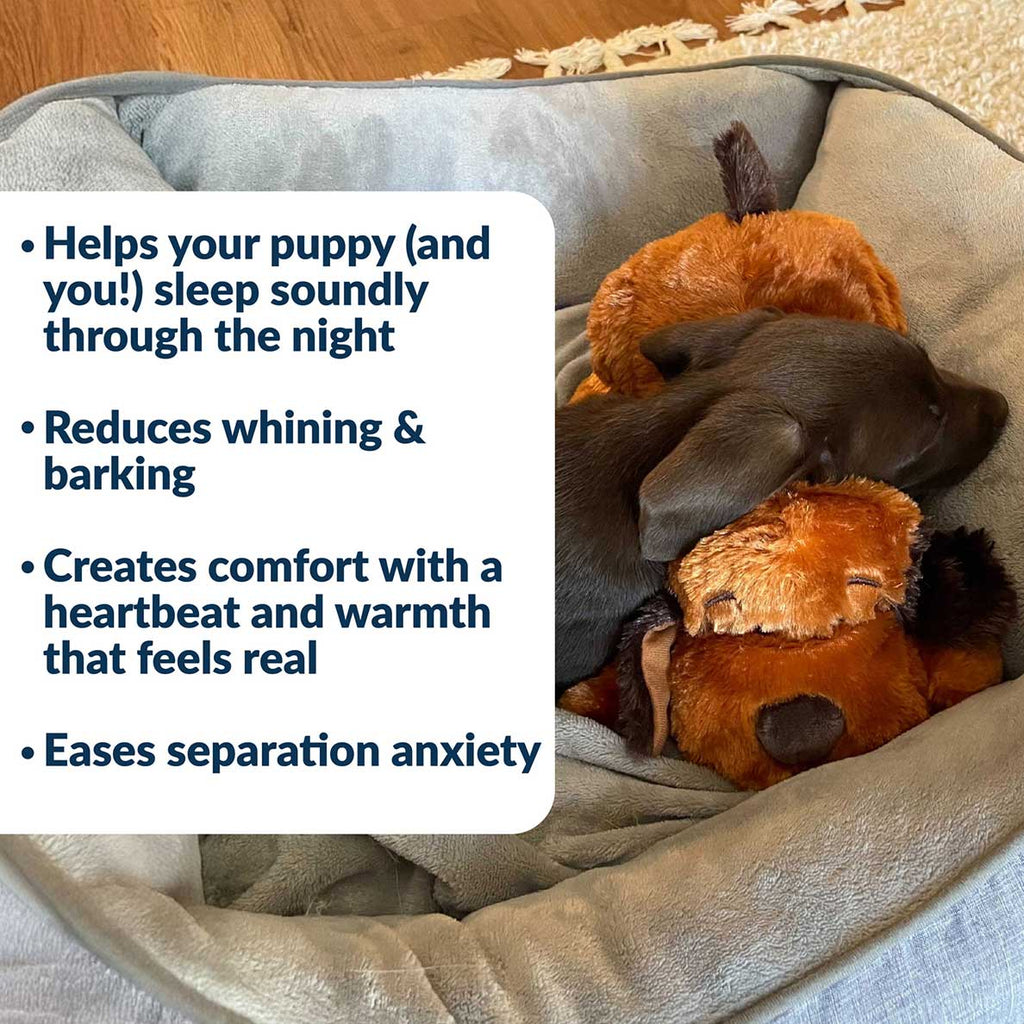 Dog Comfort Toy product image 3