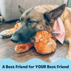 Dog Comfort Toy product image 5