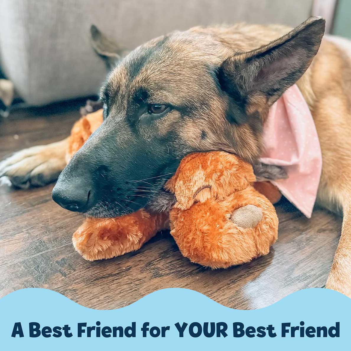 Dog Comfort Toy product image 5