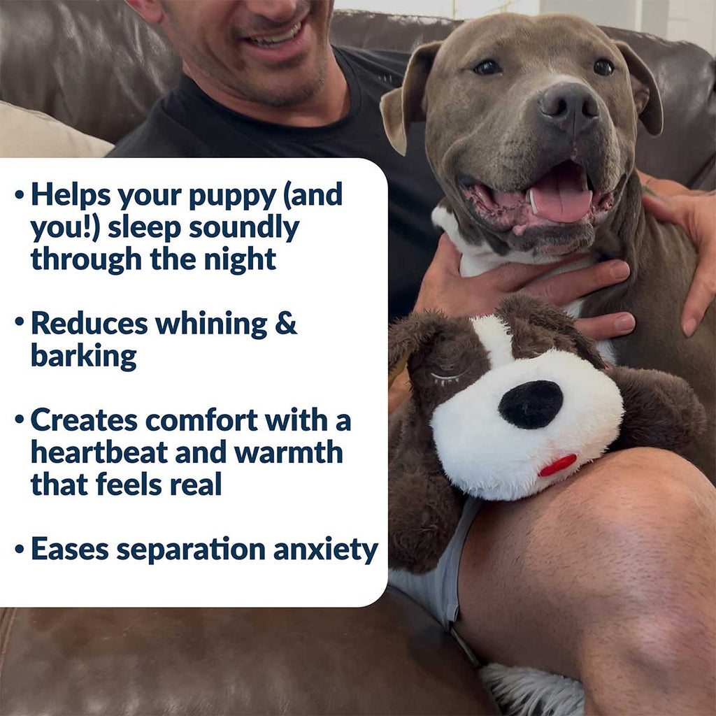 Puppy Comfort Toy product image 3