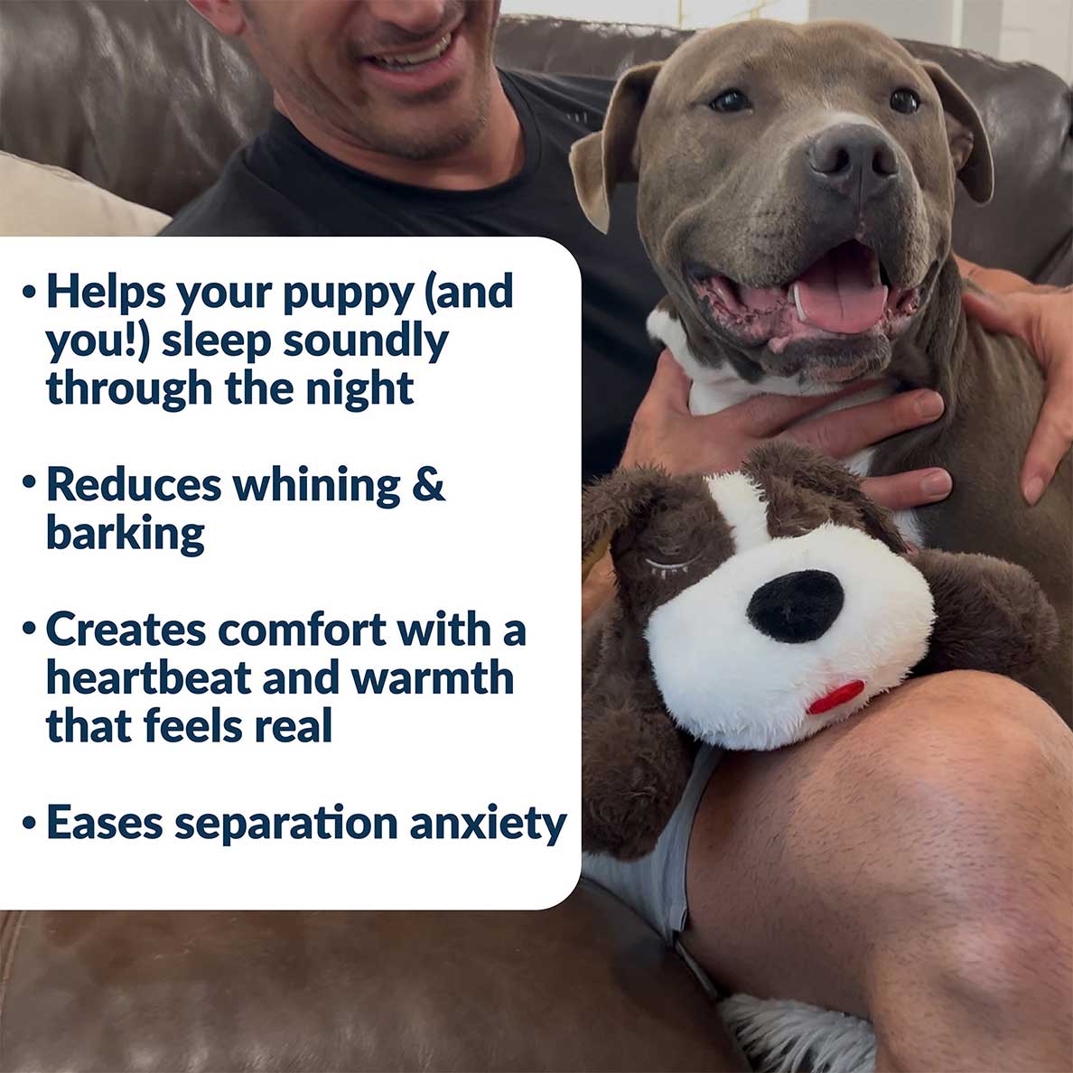 Puppy Comfort Toy product image 3