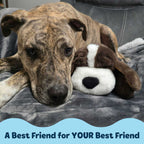 Puppy Comfort Toy product image 5