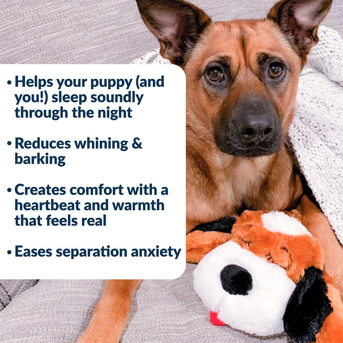 Puppy Comfort Toy product image 3