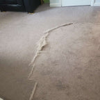 Pet Hair Remover product image 4