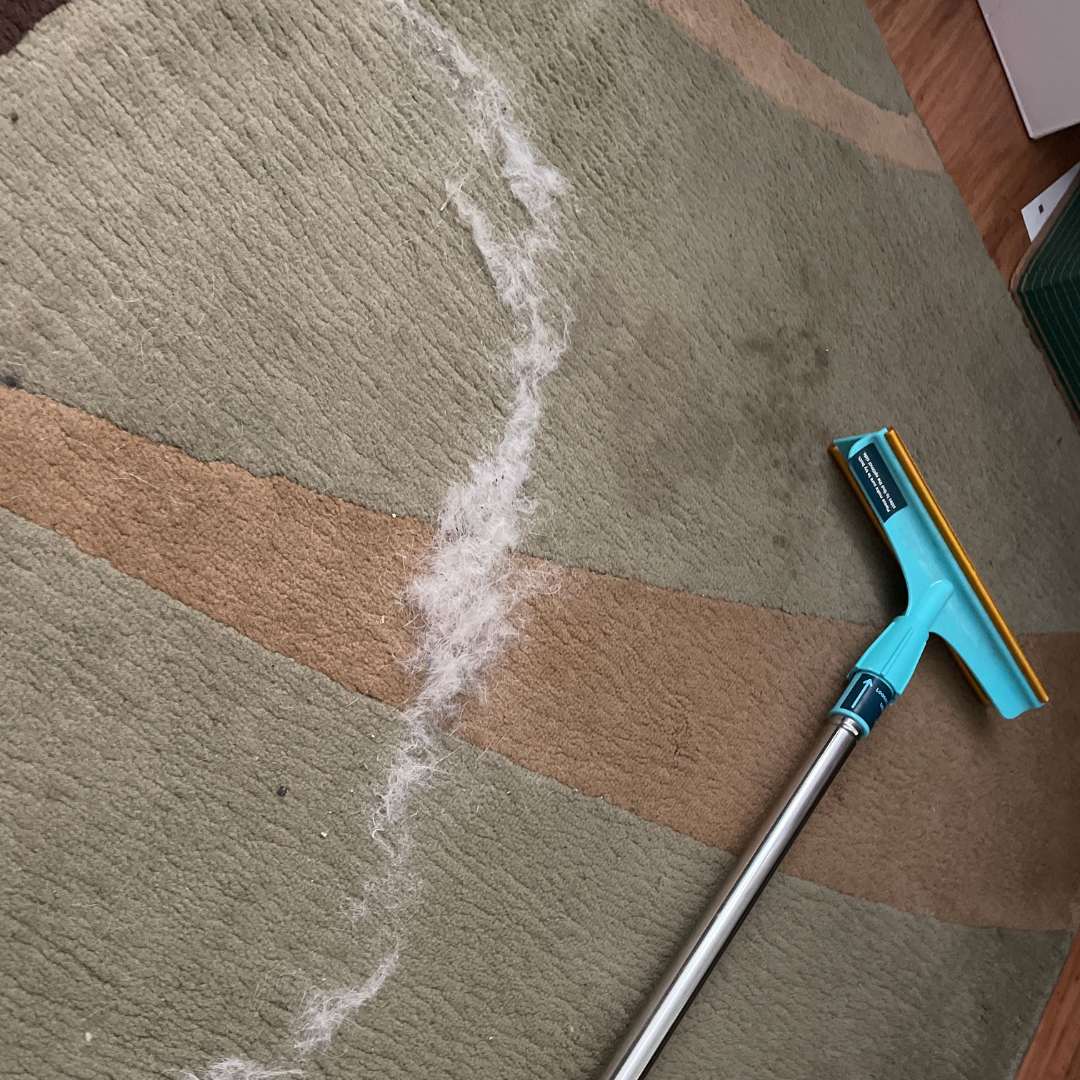 Pet Hair Remover product image 5