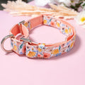 Martingale Dog Collar product image 1