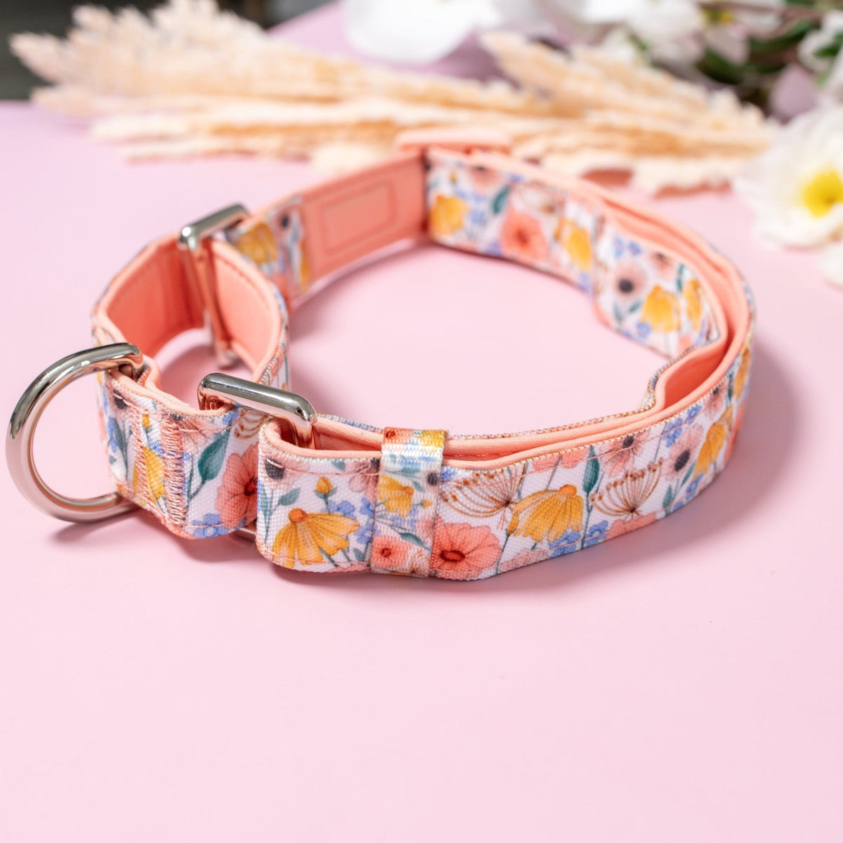 Martingale Dog Collar product image 1