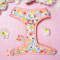 Adjustable Dog Harness product image 1
