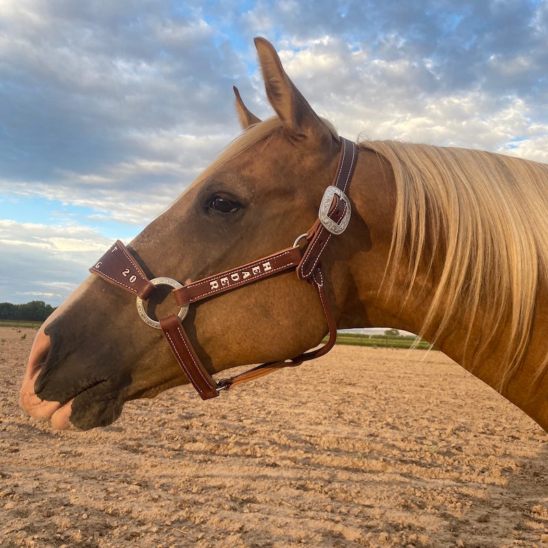 Bronc Halter product image 1