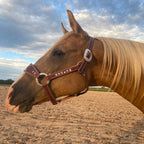 Bronc Halter product image 1